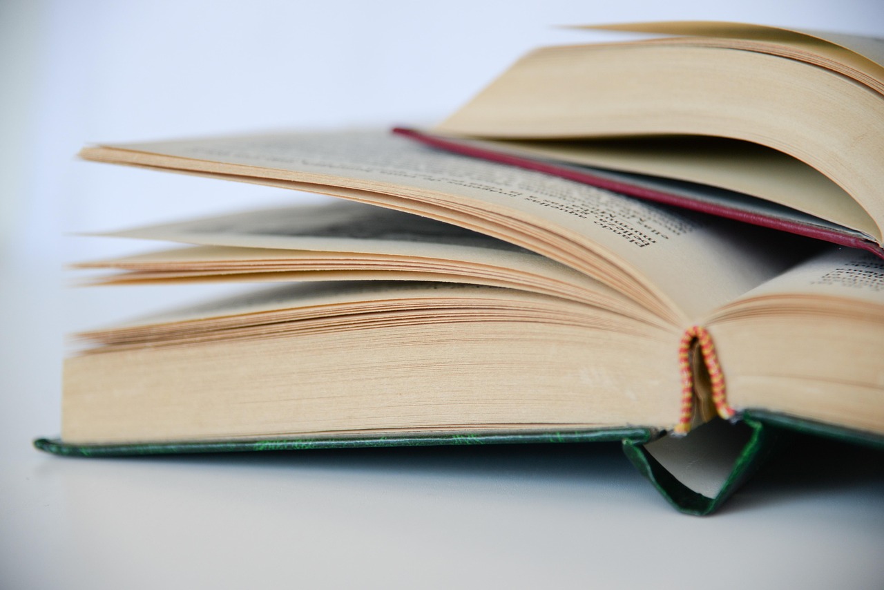 纽卡斯尔大学 admission requirements