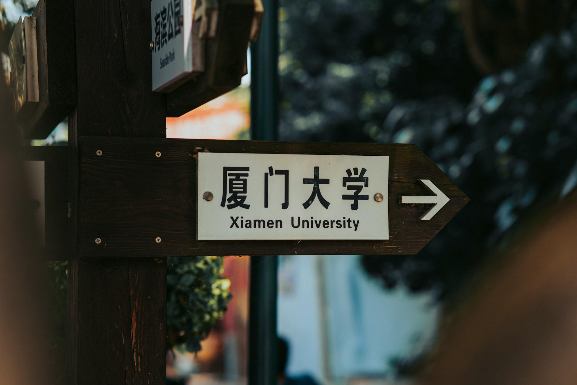 阿伯丁大学 MSc Global Health and Management 录取要求 document and eligibility review